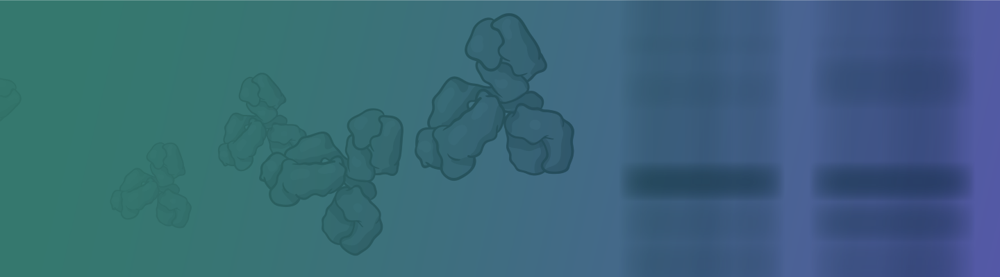 Illustration of chromosomes